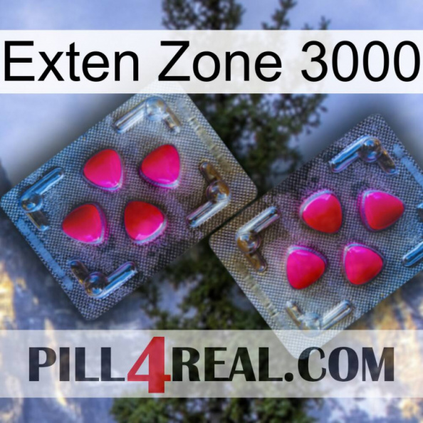 Exten Zone 3000 15.jpg